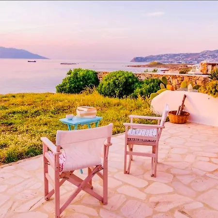 Vakantiehuis Summer Vibes Up To 9 Guests !free Pick Up Shuttle! *